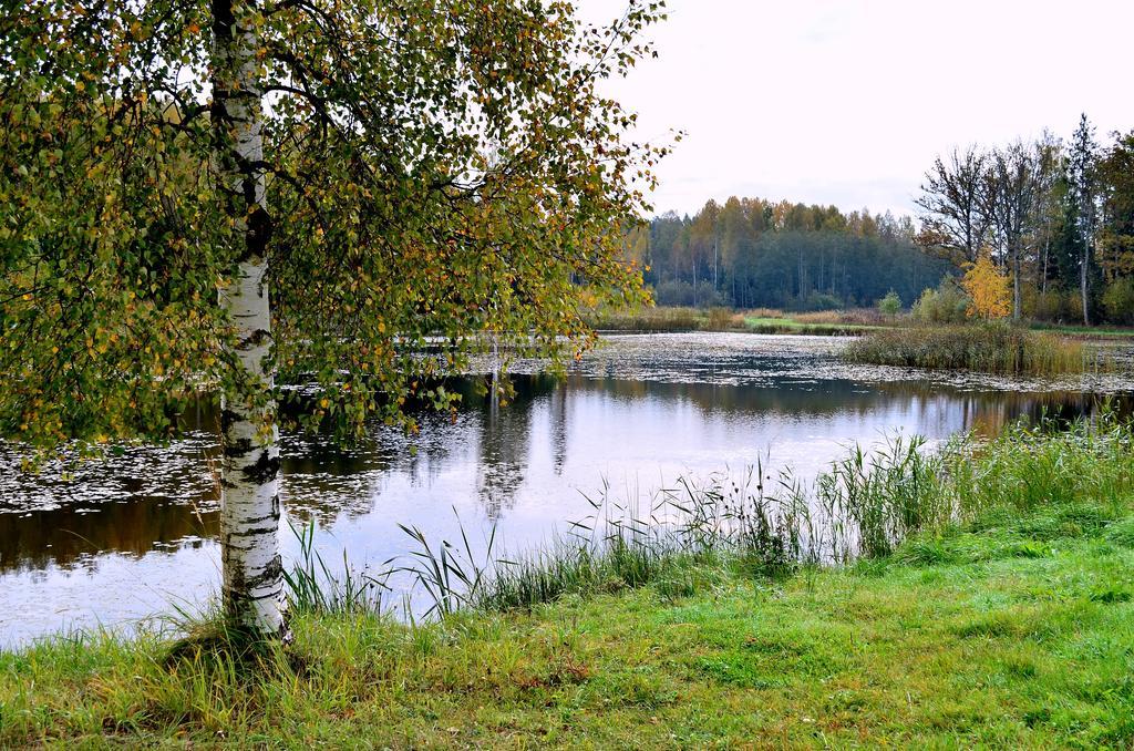 Brivdienu Maja Polisi Kuldīga Chambre photo