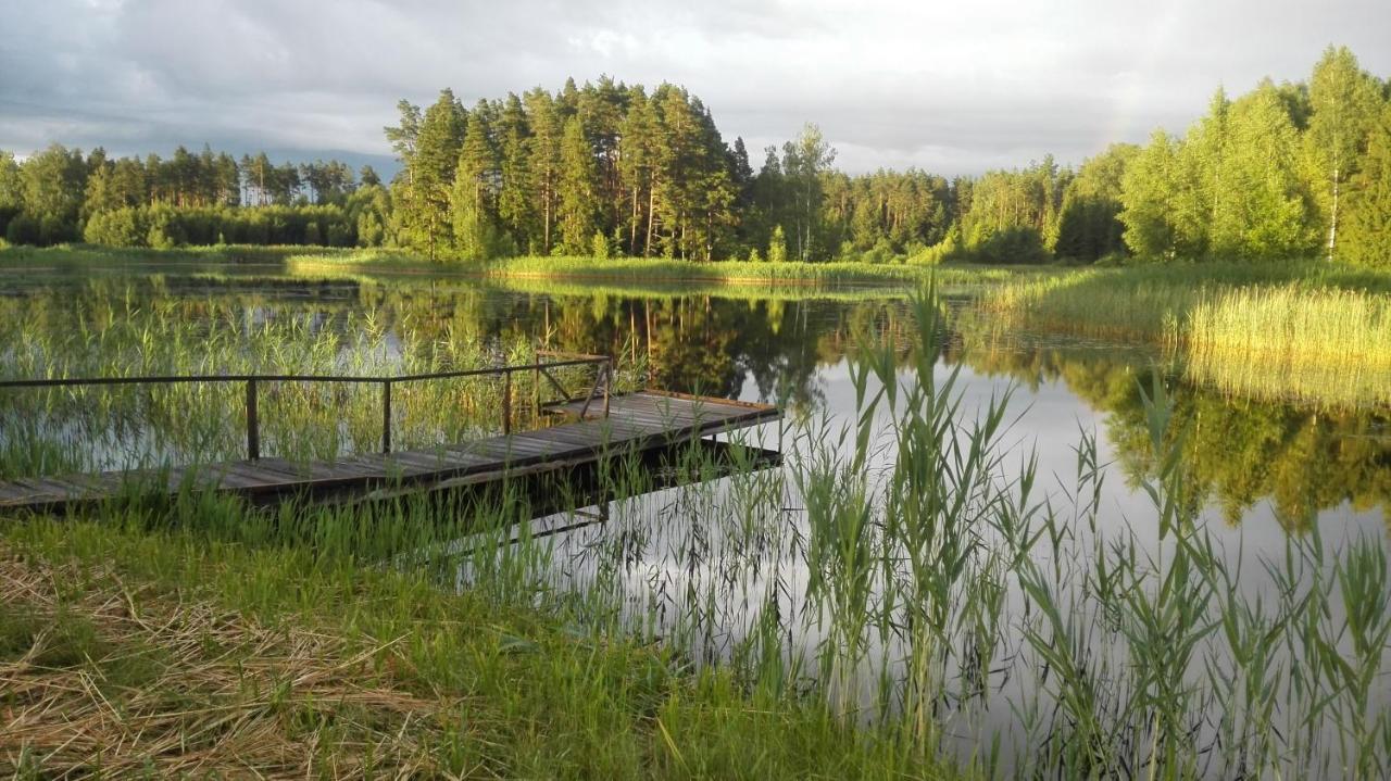 Brivdienu Maja Polisi Kuldīga Extérieur photo